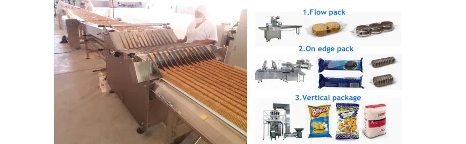 Automatic Biscuit Production Line Multi-Functional Biscuit Making Machine