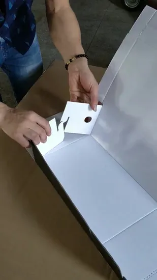 Dgm Box Folder Gluer 3points Carton Ondulé Pré