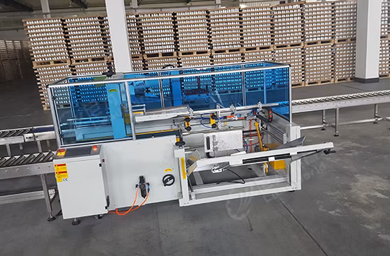 Petit monteur automatique de caisse/carton de boîte en carton érigeant la machine ouverte